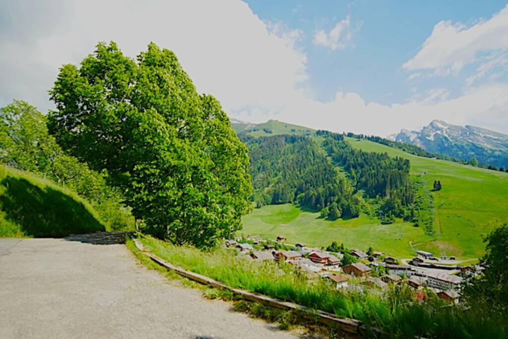 Appartement Cozy Dans Chalet 6 Pers Voiture 4 Roues Motrice A Dispo La Clusaz Exterior foto